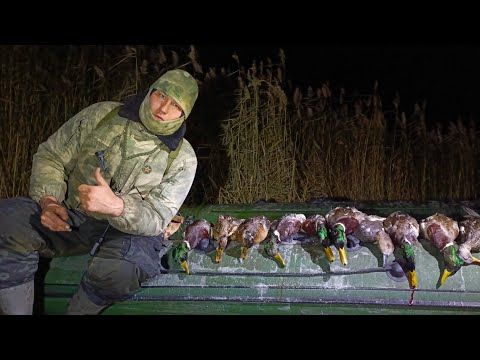 Видео: ОХОТА НА УТКУ НА ОЗЕРЕ МАЛЫЙ ЧАН. РЕКУ НАЧАЛО СКОВЫВАТЬ ЛЬДОМ. ПОТИХОНЬКУ ВЫБРАЛСЯ.