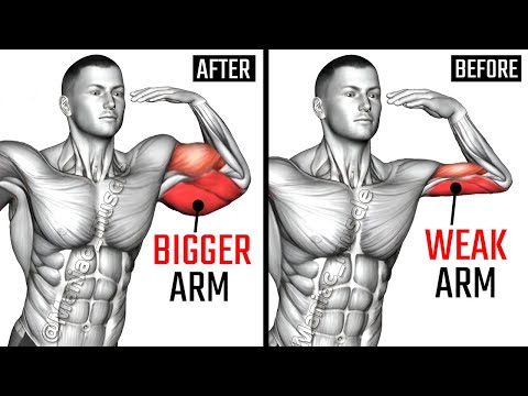 Видео: 10 Лучшие упражнения на бицепс и трицепс для больших рук в спортзале