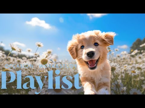 Видео: [playlist] Осенний R&B и Lo-fi поп без рекламы | Музыка для работы и учёбы в кафе