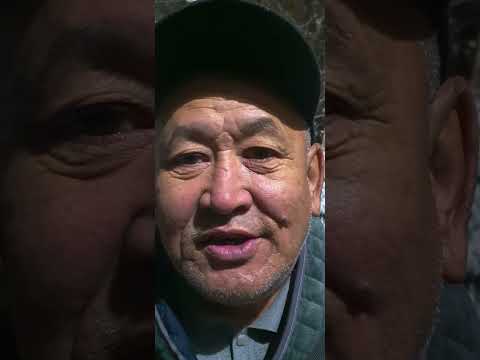 Видео: Қалай қорғанамыз?!