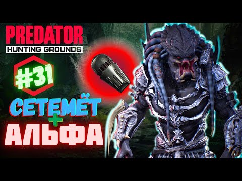 Видео: Predator Hunting Grounds ➤ АЛЬФА сетемёт ➤ ОХОТА #️31 #predator