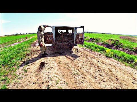 Видео: ЭТА ДОРОГА УСЫПАНА ЖЕЛЕЗОМ | ПОЛНАЯ БУХАНКА | ЗАДАЧА НАКОПАТЬ ДО ОБЕДА! Металлокоп