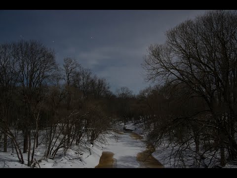 Видео: Часть 1. Небольшая прогулка по лесу.