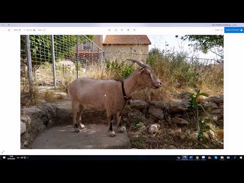 Видео: 1104-б. Разбор диалога "Покупаем сыр"