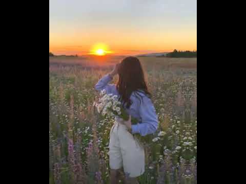 Видео: IOWA- маршрутка speed up 😝