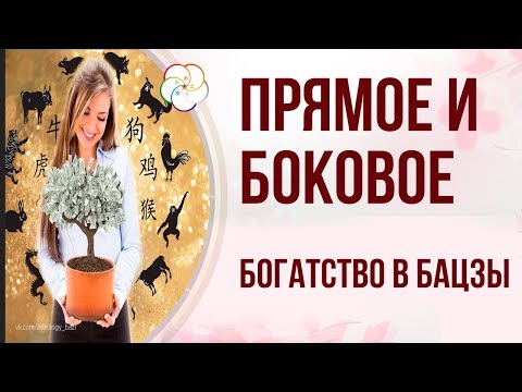 Видео: ДЕНЬГИ В КАРТЕ БАЦЗЫ| Прямое и боковое богатство в Бацзы