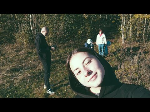 Видео: Лесная атмосфера 😊