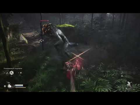 Видео: Black Myth: Wukong - Путешествие в Лесу ч.1