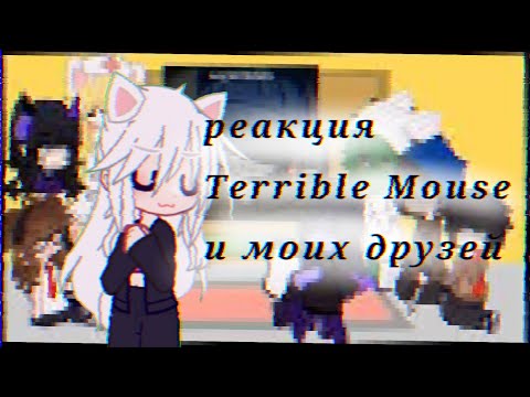 Видео: Реакция Terrible Mouse 🙃