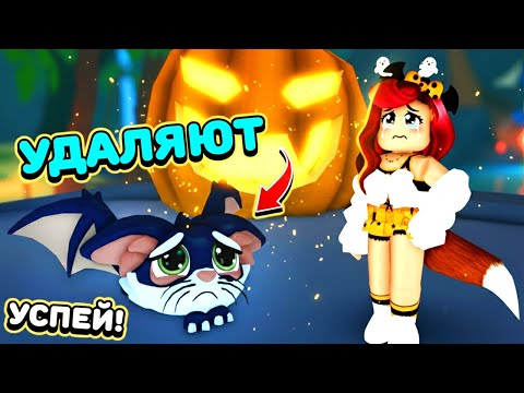 Видео: СРОЧНО! 🔥Последний шанс получить Китти Бэта! Обнова Адопт Ми