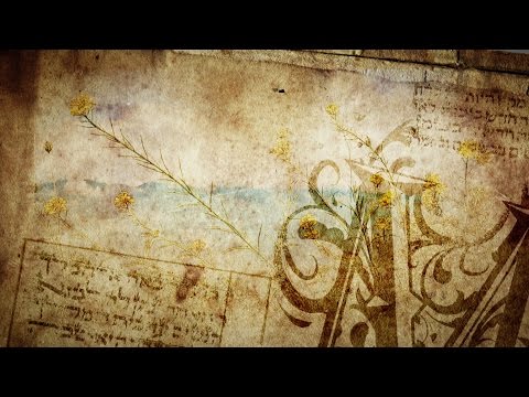 Видео: Мир Библии 2. Библейские растения