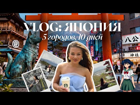 Видео: VLOG | впервые в Японии, честное мнение о местах: Токио, Фудзи, Киото, Нара, Осака