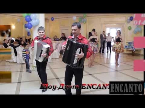 Видео: Қызыл өрік, Той жыры Баянисты Отжигают