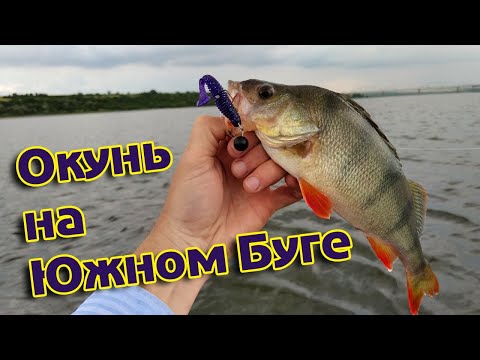 Видео: Ловля окуня на Южном Буге в июне. Себино