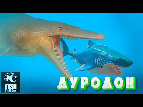 Видео: ОГРОМНЫЙ ДУРОДОН СЪЕЛ МЕГАЛОДОНА | Feed And Grow Fish