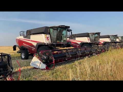Видео: Началась уборка. Комбайны Ростсельмаш