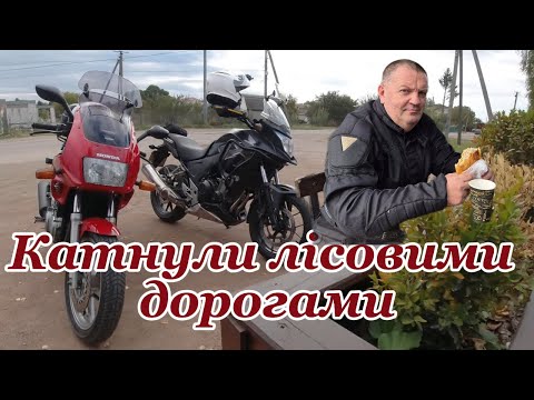 Видео: Катнули лісовими дорогами
