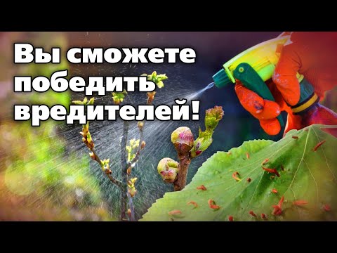 Видео: Весенние обработки сада от вредителей. Обзор традиционных препаратов и новинок