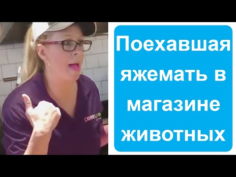 Видео: Поехавшая яжемать в зоомагазине. Яжемать истории