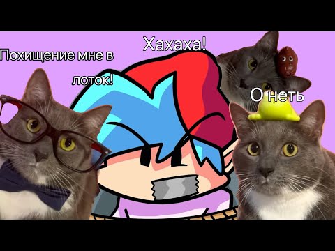 Видео: Котинет & Кошачья школа 4 серия.Похищение с обманом.Часть 1