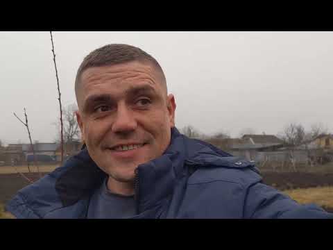 Видео: Як правильно обрізати ПЕРСИК І НЕКТАРИН(Чаша і Веретено) дивіться і все зрозумієте