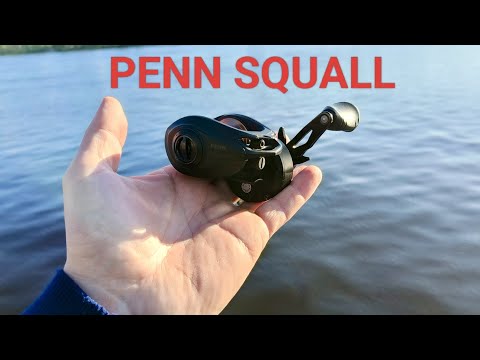 Видео: PENN SQUALL обзор катушки