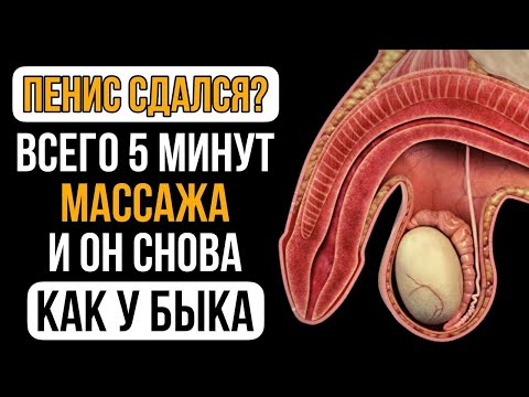 Видео: Каждое утро — всего 5 минут простого массажа, и ты забудешь, что такое вялость! Часть 2