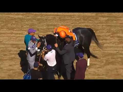 Видео: R5-DEL MAR (01 НОЯБРЯ 2025)