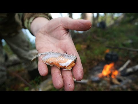 Видео: СОРОГУ НА УДОЧКУ ДОСТАЮ КАК ИЗ БОЧКИ.ТАЕЖНЫЙ БЫТ. ЖИВУ ОДИН НА ОЗЕРЕ.