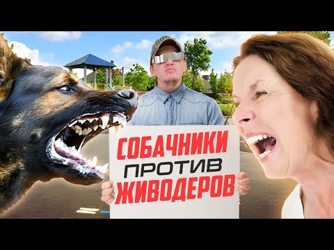 Видео: Тупые Собачники против живодёров! Безумные скандалы и конфликты из - за домашних животных.
