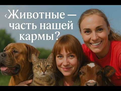 Видео: Животные чувствуют больше, чем вы думаете!