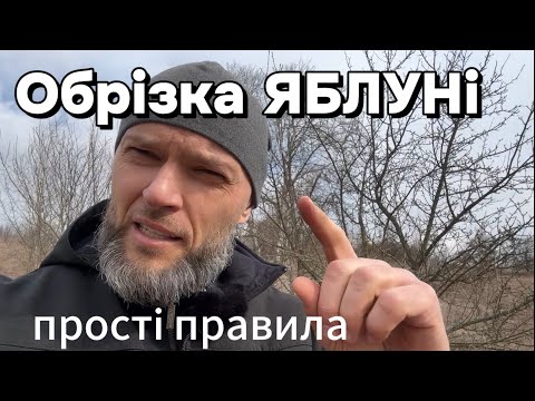 Видео: Як обрізати яблуні! Все просто! Є лише декілька правил.