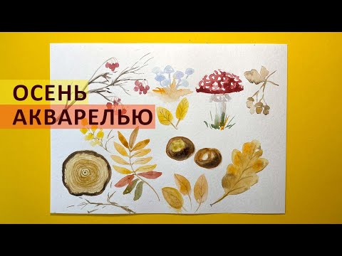 Видео: Рисуем осень акварелью. Идея для открытки. Грибы, осенние листья, каштаны и желуди