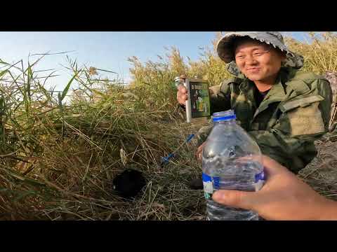 Видео: Арнасай 2023