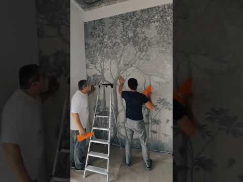 Видео: 14 июля 2025 г.