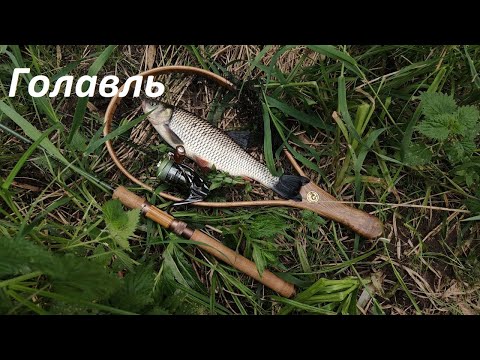 Видео: Голавль