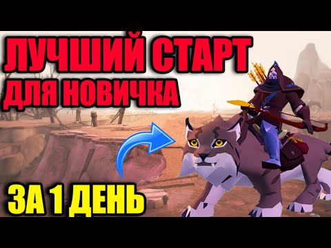 Видео: Albion online: ЛУЧШИЙ СТАРТ ДЛЯ НОВИЧКА