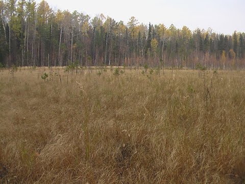 Видео: В поисках "Чёртова кладбища". Экспедиция 2016 года.