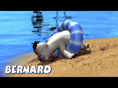 Видео: Бернард | На пляже И БОЛЬШЕ | Мультфильмы для детей
