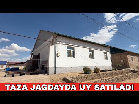 Видео: НОКИС КАЛАСЫНАН УЙ САТЫЛАДЫ.