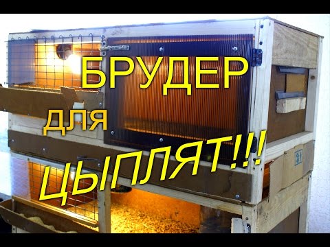 Видео: КАК СДЕЛАТЬ БРУДЕР ДЛЯ ЦЫПЛЯТ// ПОДРОБНАЯ ВИДЕОИНСТРУКЦИЯ// МОЯ ЛЮБИМАЯ УСАДЬБА