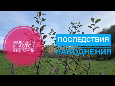 Видео: # 267 Земельный Участок В Испании. Последствия Наводнения. Земля В Испании. Купить Участок В Испании