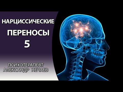 Видео: Нарциссические переносы. Идеализированный и близнецовый переносы.