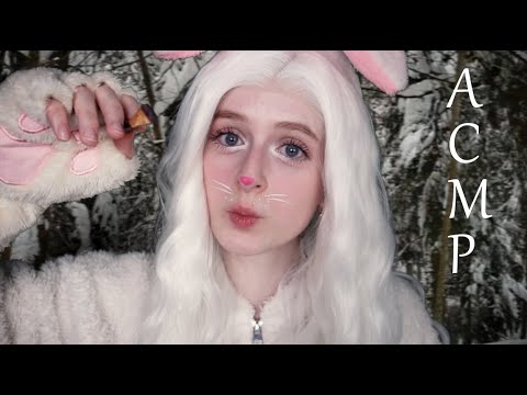 Видео: АСМР Зайка замаскирует тебя в зимнем лесу | Ролевая игра | ASMR Roleplay Bunny