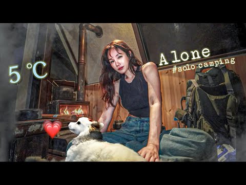 Видео: поход в теплую хижину с первой встреченной собакой / кукурузный макколли / одиночный кемпинг