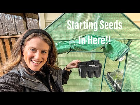 Видео: Как прорастить семена в неотапливаемой теплице | Что выращивать в мини-теплице