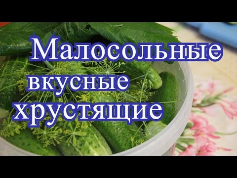 Видео: Малосольные огурцы. Мой любимый рецепт.