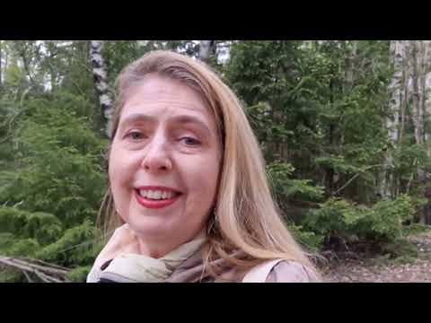 Видео: За что я люблю Швецию. Личный взгляд на жизнь в стране северного уюта.