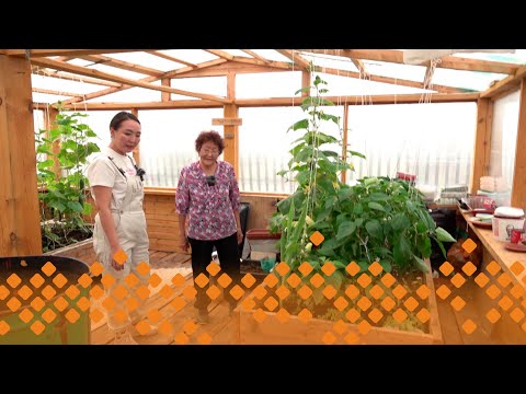 Видео: «Тиэргэн»: Мария Саввиноваҕа ыалдьыттаатыбыт (23.08.24)