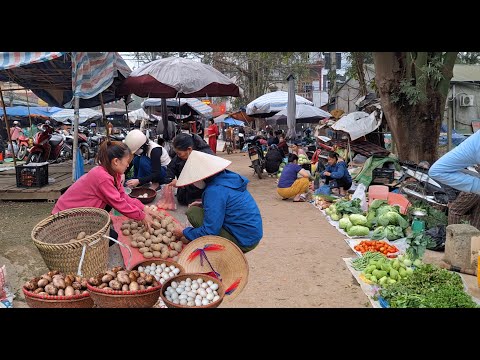 Видео: Сбор картофеля и куриных яиц на ферме для продажи на рынке/Жизнь на ферме